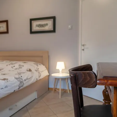 Villa Dc Executive Homes Novi Sad