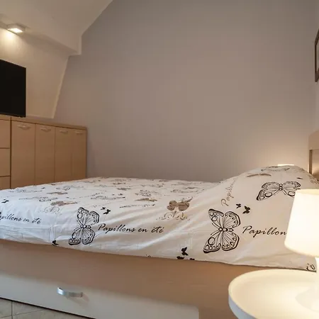 Vila Dc Executive Homes Novi Sad