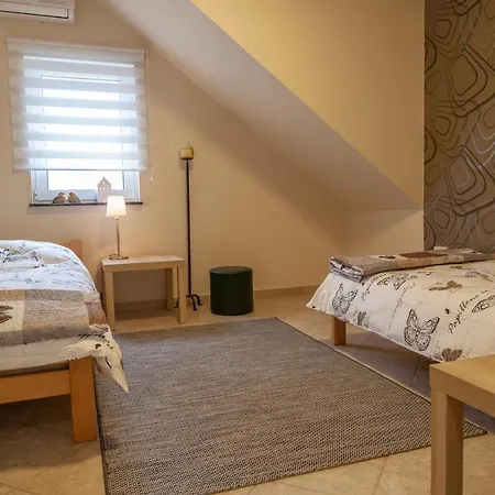 Dc Executive Homes Villa Novi Sad