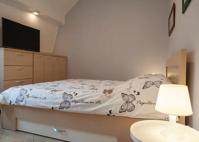 فيلة Dc Executive Homes نوفي ساد